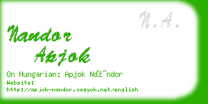 nandor apjok business card